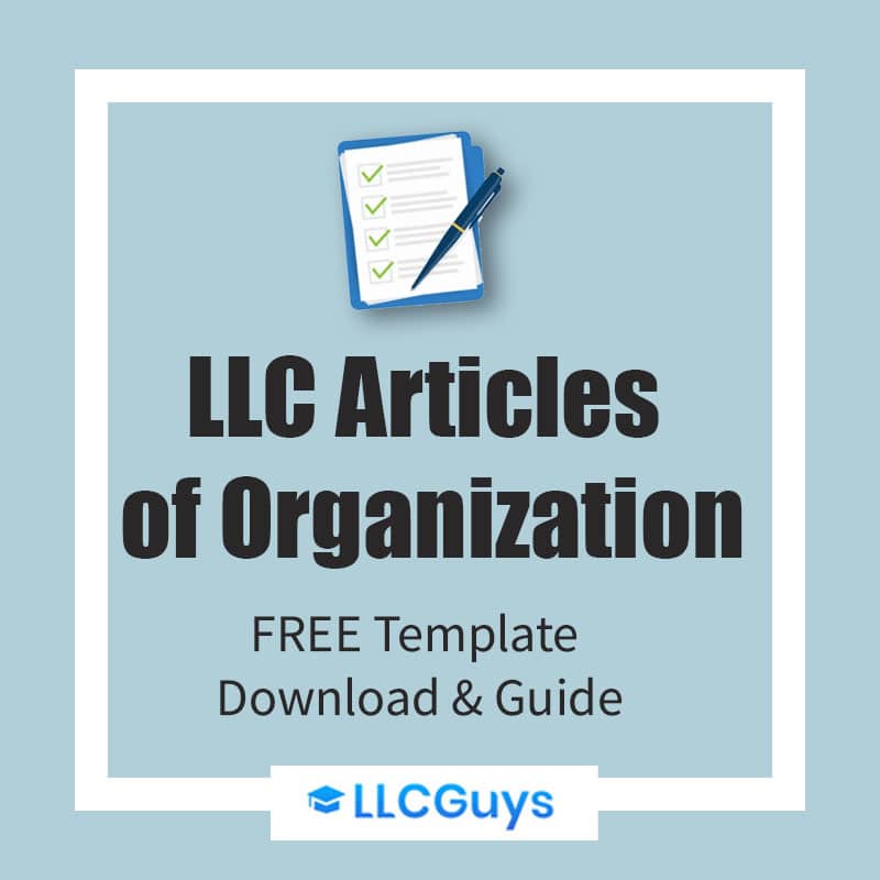 LLC-Satzung der Organisation