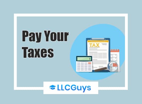 Pay-your-Taxes