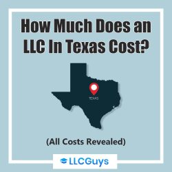 How-Much-Does-an-LLC-In-Texas-Cost-All-Costs-Revealed