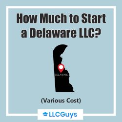 Delaware-LLC-Various-Cost