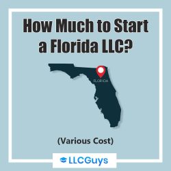 FLORIDA llc costs
