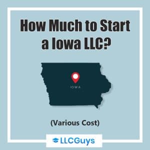 Iowa LLC Verschiedene Kosten