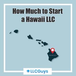 Ausgewähltes Bild-Hawaii-LLC-Kosten