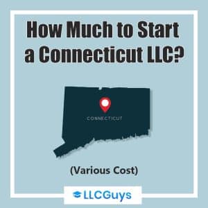 Ausgewähltes Bild-Connecticut-LLC-Verschiedene Kosten