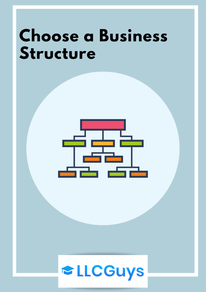 LLCGuys-Business-Structure