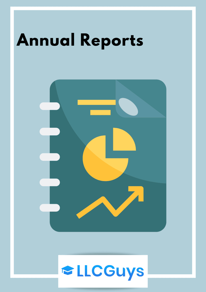 LLCGuys-Annual-Reports