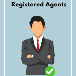 Texas-Registered-Agents